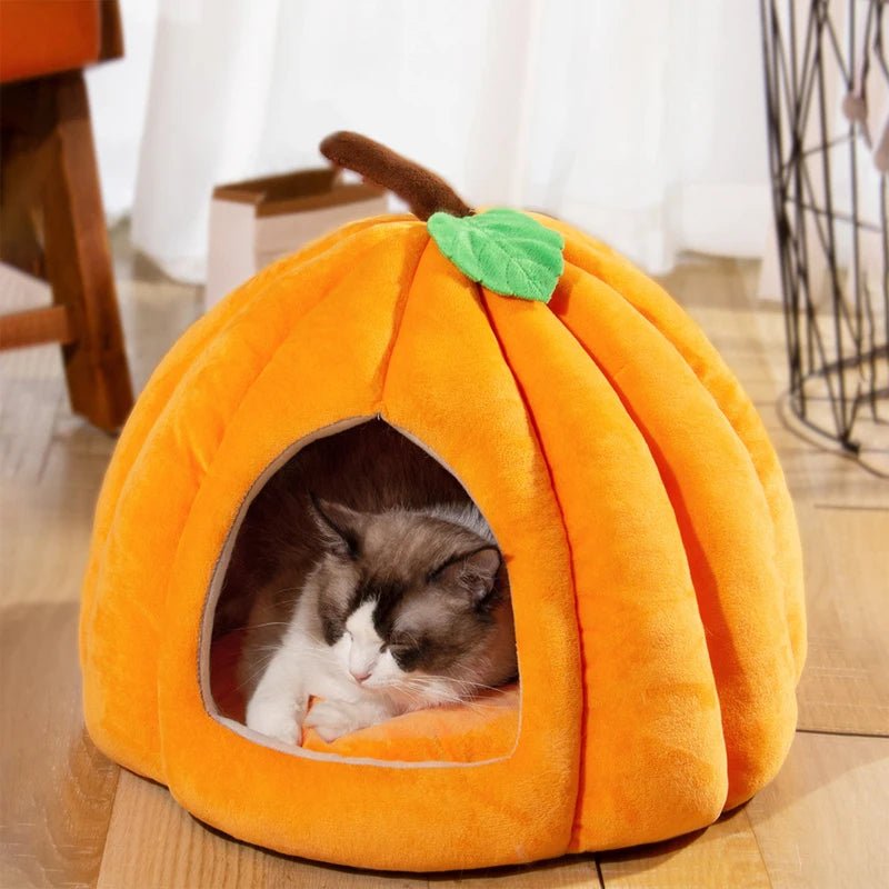 Cat Dog Pumpkin Pet House - Shopping Time Australia
