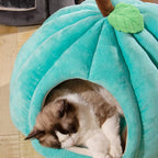 Cat Dog Pumpkin Pet House - Shopping Time Australia