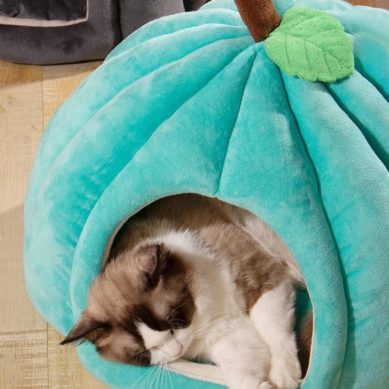 Cat Dog Pumpkin Pet House - Shopping Time Australia