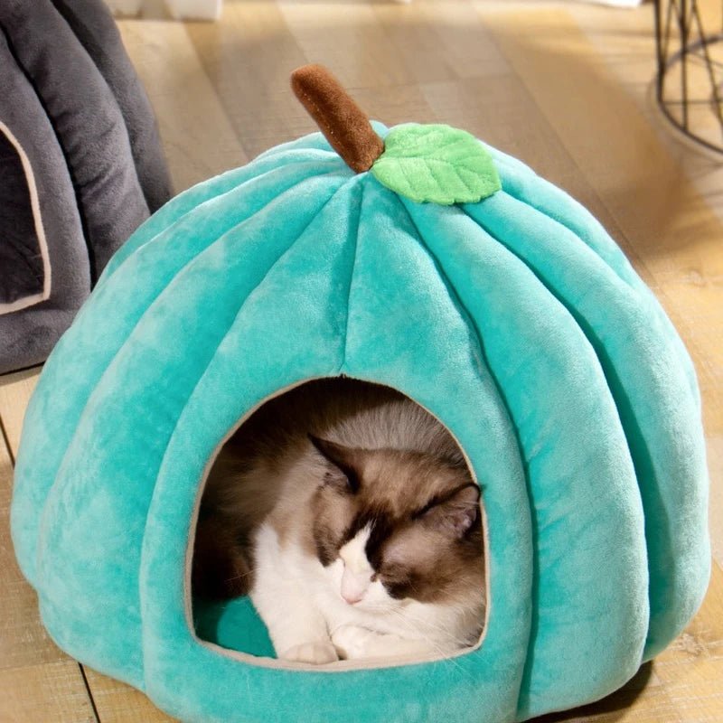 Cat Dog Pumpkin Pet House - Shopping Time Australia