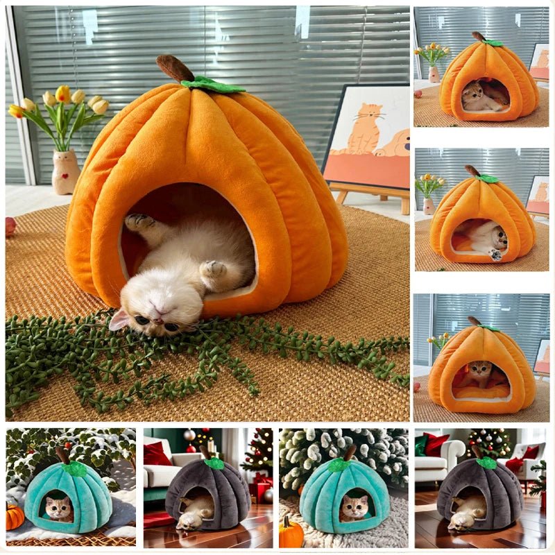 Cat Dog Pumpkin Pet House - Shopping Time Australia