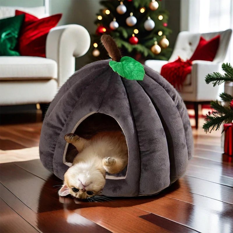 Cat Dog Pumpkin Pet House - Shopping Time Australia