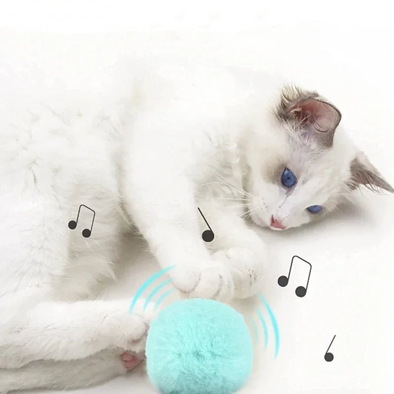 Interactive Plush Cat Toy Ball - Shopping Time Australia